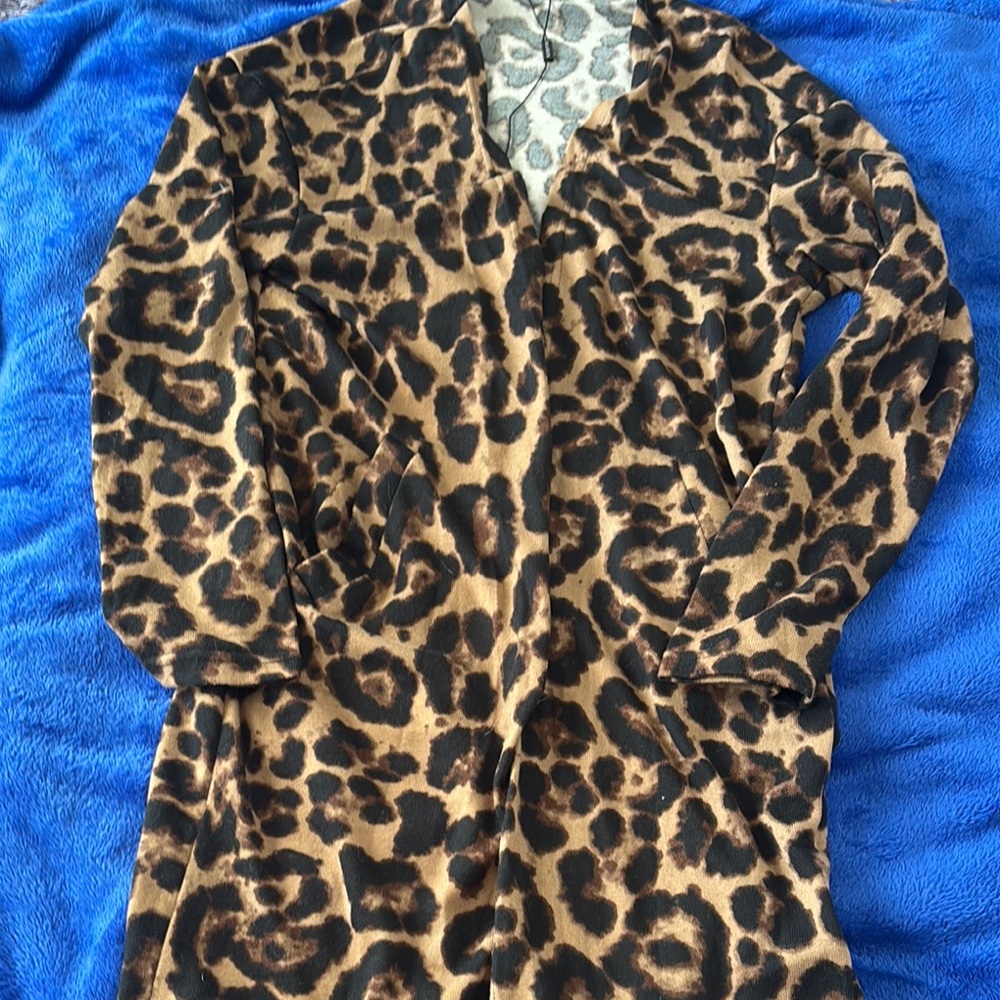 Chic Leopard Print sweater